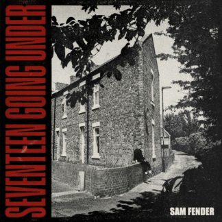 Sam Fender - Seventeen Going Under Vinyl / 12" Album