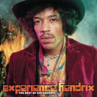 The Jimi Hendrix Experience - Experience Hendrix Vinyl / 12" Album