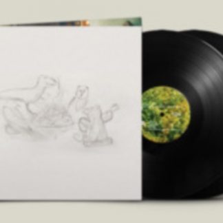 Big Thief - Dragon New Warm Mountain I Believe in You Vinyl / 12" Album